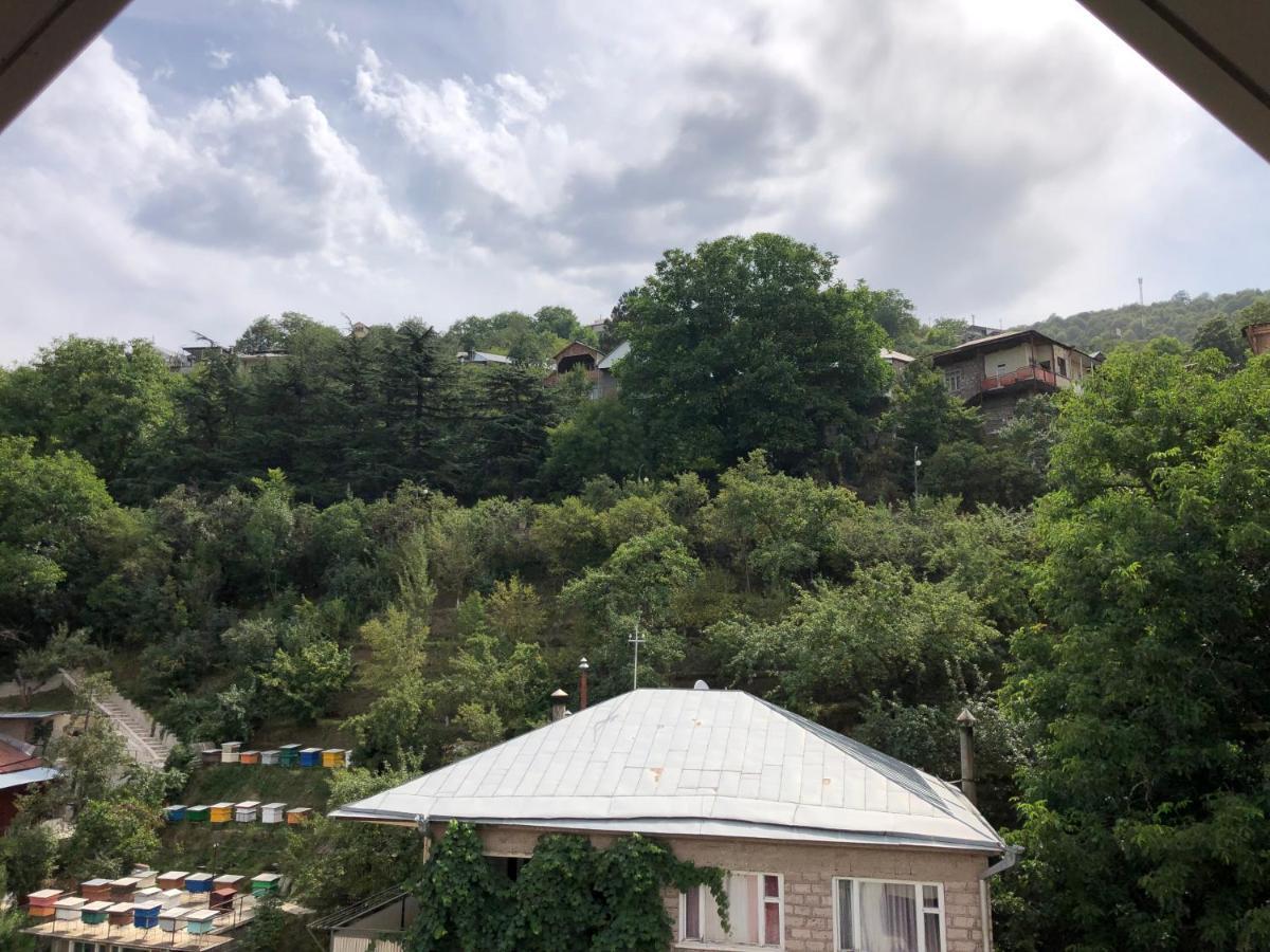 Cozy Apartment For Real Rest Dilijan Bagian luar foto